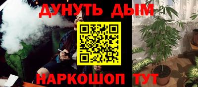 мдпв Бийск