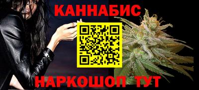 мдпв Бийск